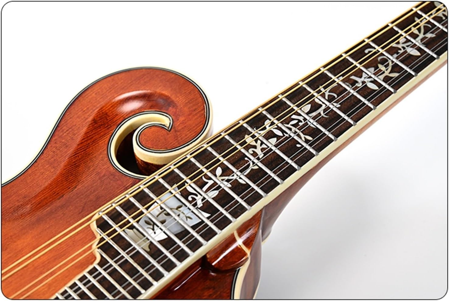 8 ギフト マンドリン 器 ローズウッド 8弦 36インチ 20フレット 特殊